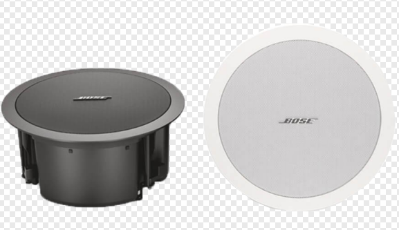 BOSE DS16F